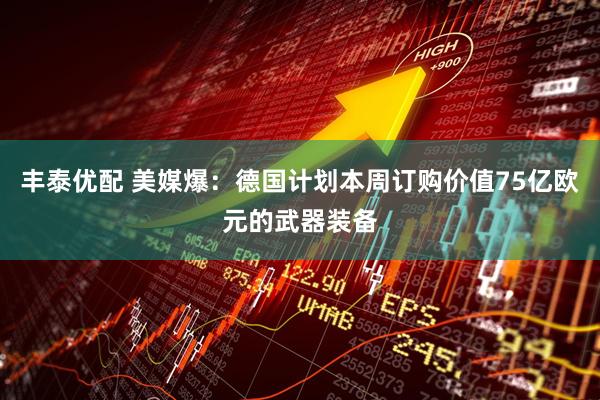 丰泰优配 美媒爆：德国计划本周订购价值75亿欧元的武器装备