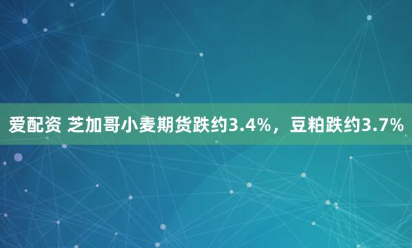 爱配资 芝加哥小麦期货跌约3.4%,豆粕跌约3.7%